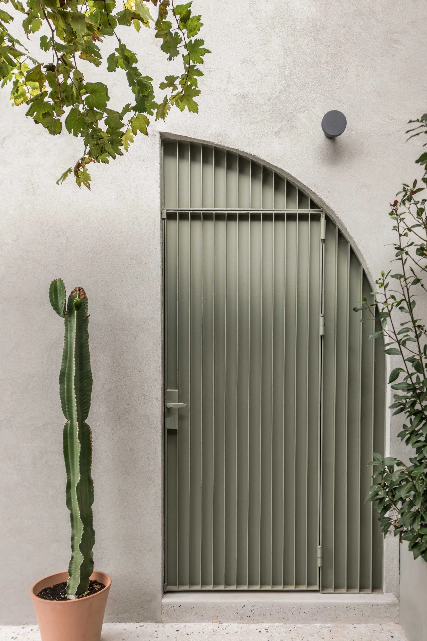 Arched exterior door of Casa D by Cometa Architects in Athens featuring vertical aluminum slats, textured plaster wall, and potted cactus.