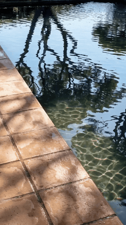 Video of Sa Capçada in Mallorca showing pine trees moving gently in the wind and casting soft shadows across Mediterranean patios and architecture.