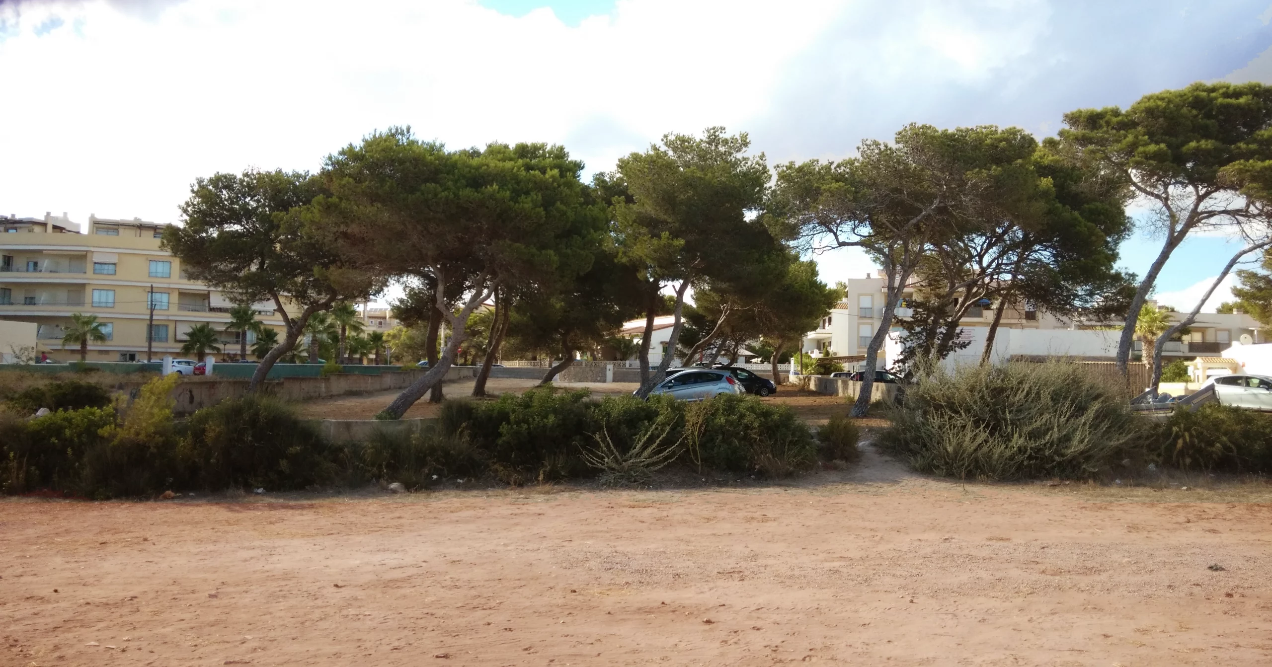 Existing site of Sa Capçada in Mallorca showing sandy terrain, Mediterranean pine trees, nearby buildings and the original landscape that shaped the residential project.